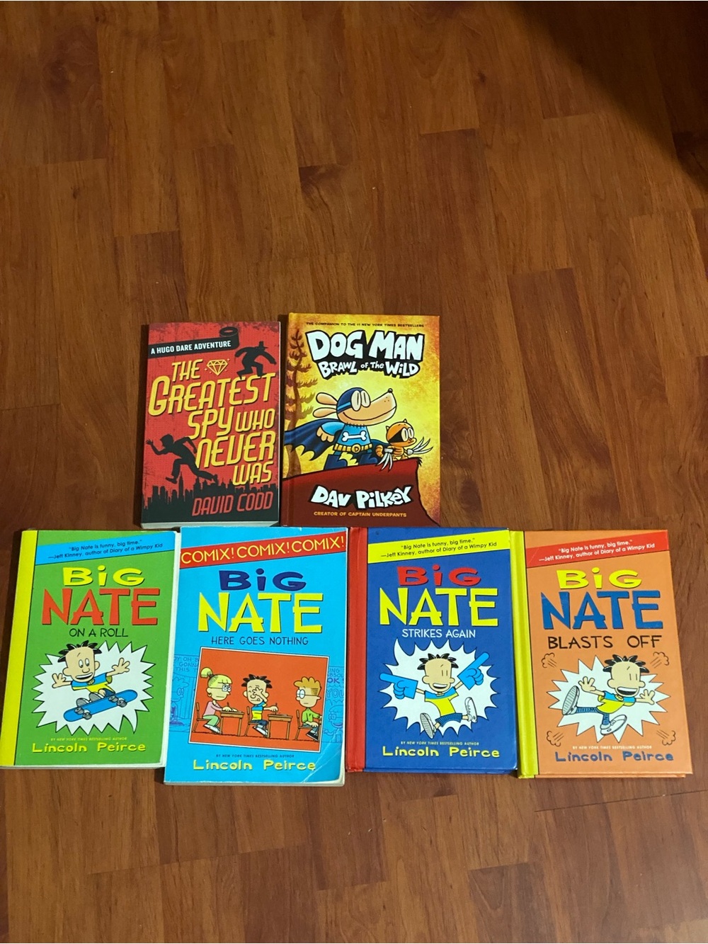 Lot Of 5 Kids Books - Big Nate, Dog Man - Hugo Dare Adventure Novel